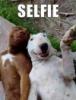 Topvicc: selfie