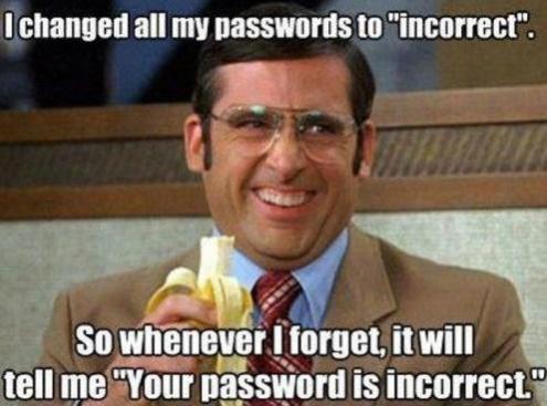 Topvicc: password