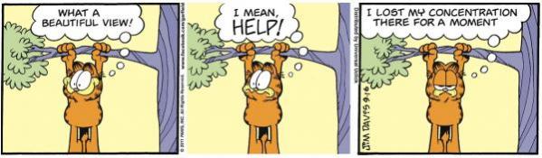 Topvicc: garfield