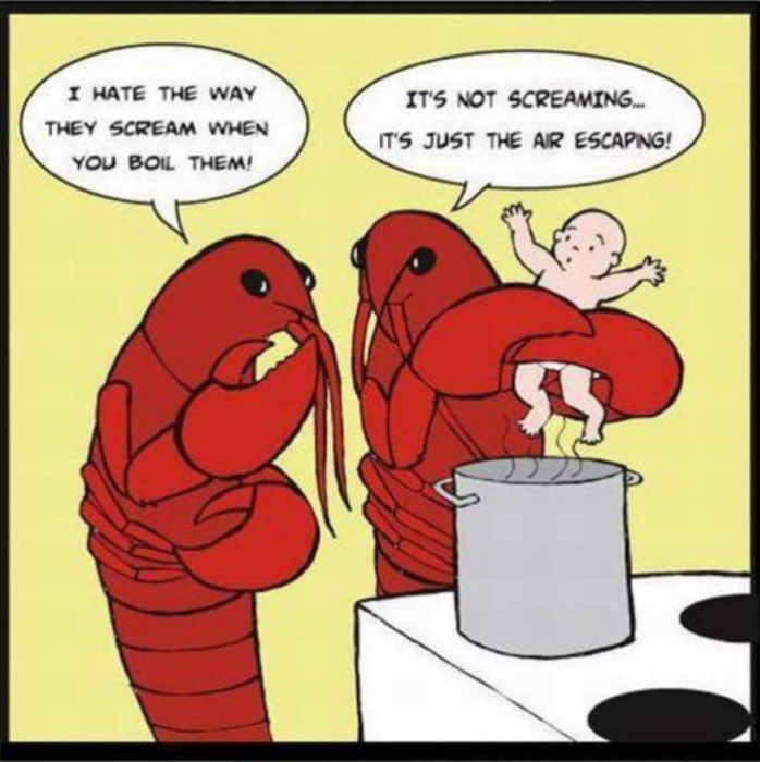 Topvicc: lobster