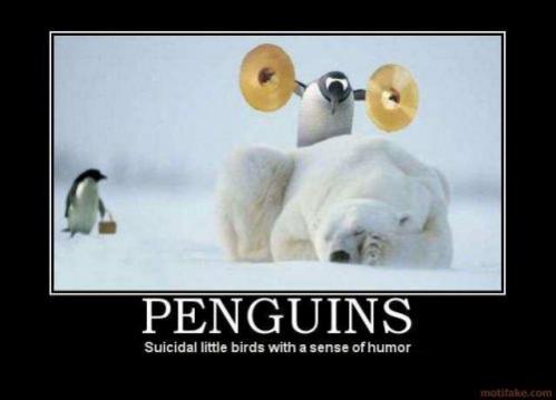 Topvicc: penguin