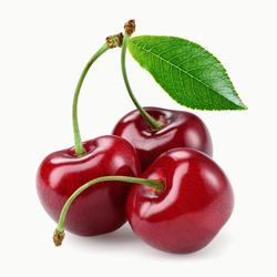 cherry tree jelentese magyarul