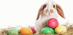 Easter jelentese magyarul