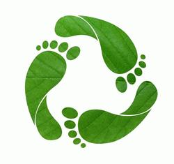 ecological footprint jelentese magyarul