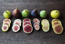 figs jelentese magyarul
