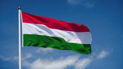 flag jelentese magyarul