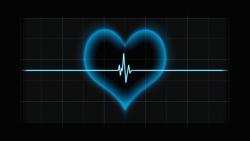 heart valve jelentese magyarul