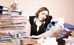 organiser jelentese magyarul