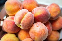 peaches and cream complexion jelentese magyarul