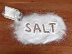 salt jelentese magyarul