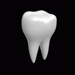 tooth enamel jelentese magyarul