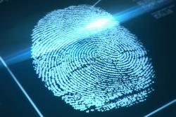 azonosítható angolul