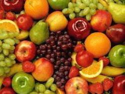 gyümölccsel táplálkozó angolul